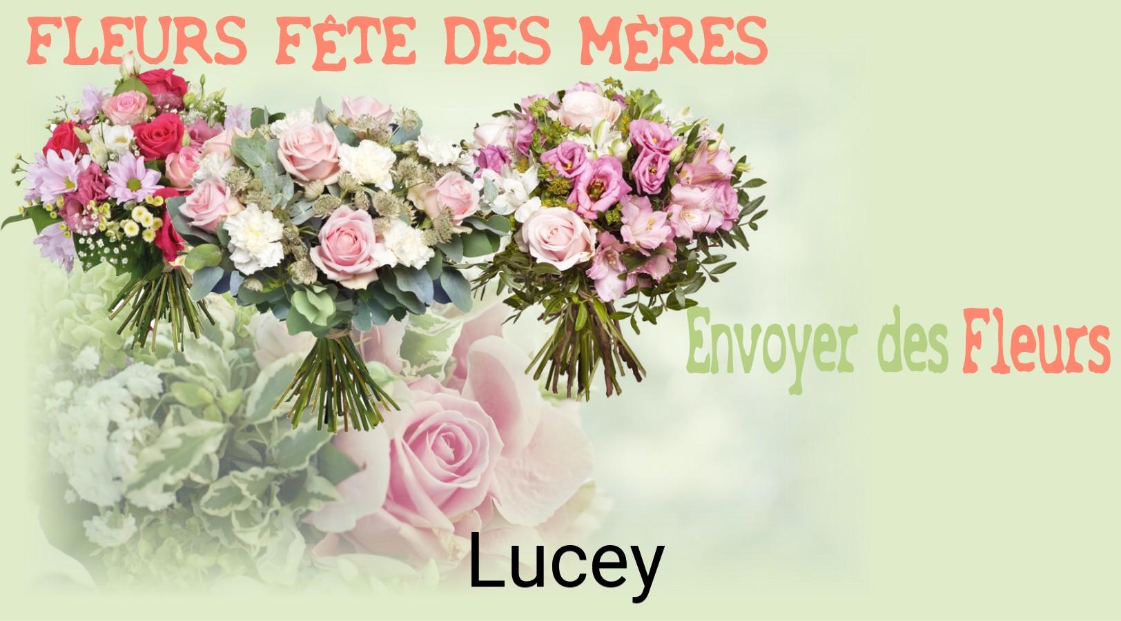 Bouquet de Fête des Mères livré à Lucey